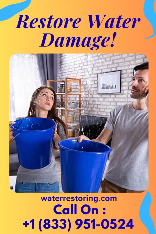 water restoration Lightning Damage Recovery Experts Peppermill Village