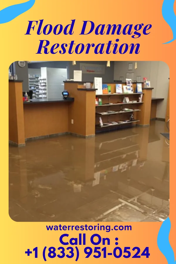 Flood Damage Restoration in Peppermill Village, MD