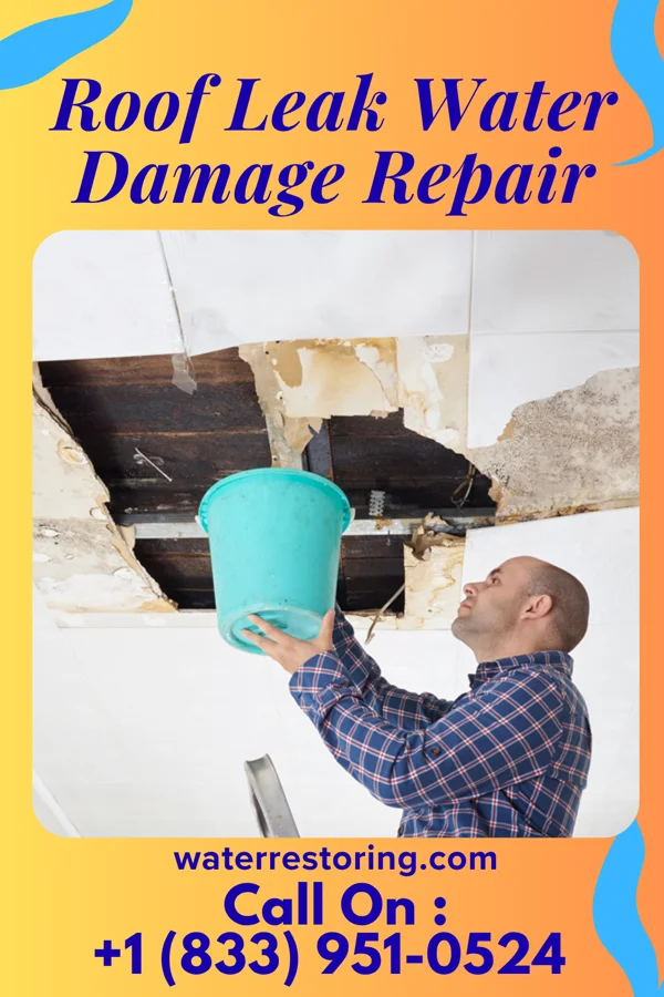Roof Leak Water Damage Repair in Peppermill Village, MD