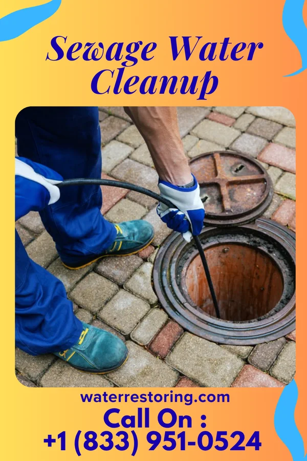Sewage Water Cleanup in Peppermill Village, MD