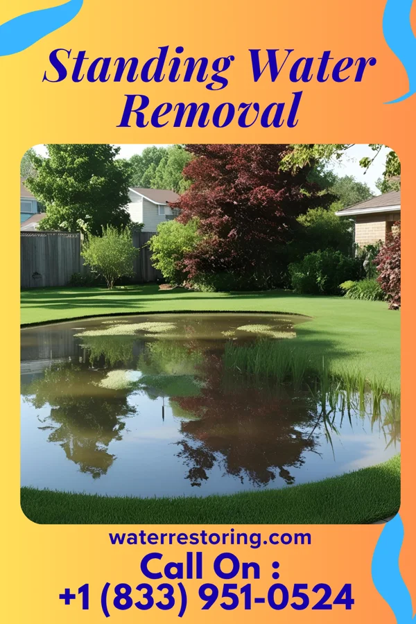 Standing Water Removal in Peppermill Village, MD